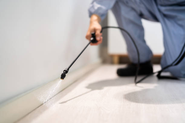 Bed Bug Pre-Treatment Preparation Assessment in Stearns