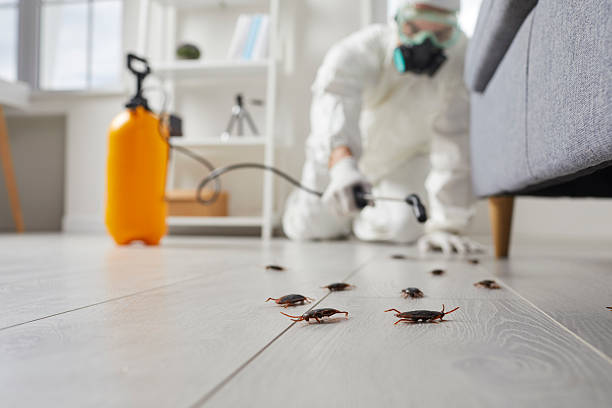 Post-Treatment Bed Bug Interceptor Monitoring in Stearns
