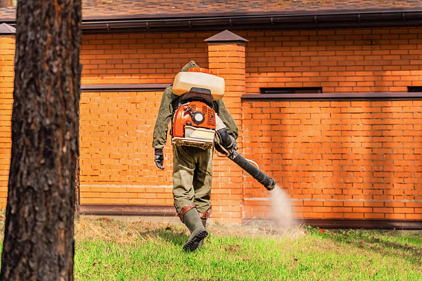 Bed Bug Clearance Verification and Documentation in Stearns